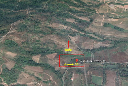 For Sale or Rent Land 14,120 sqm in Khao Kho, Phetchabun, Thailand